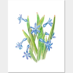 Wild hyacinth Posters and Art